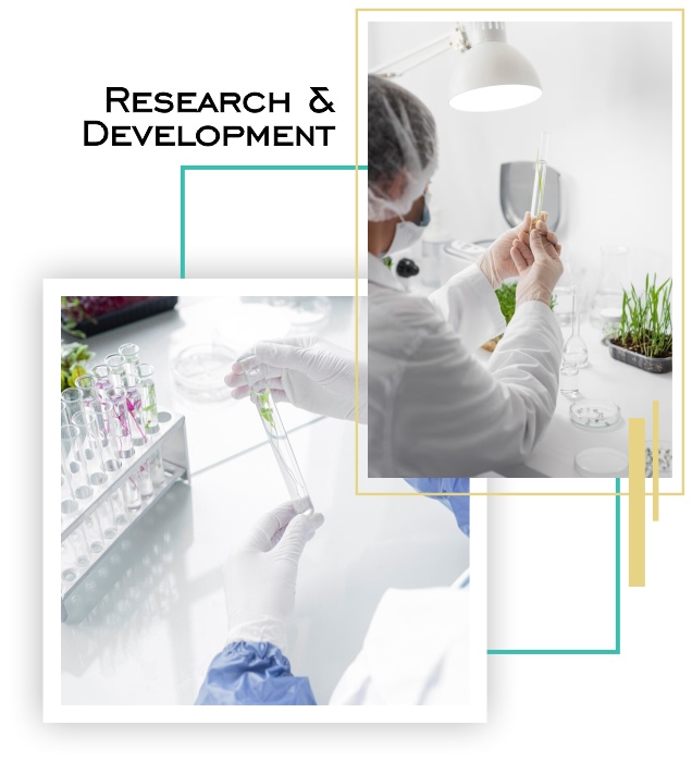 Formula & Development